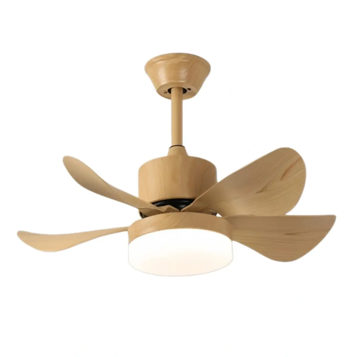 Zenno Minimalist Ceiling Fan Light